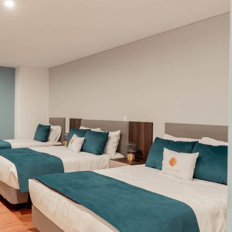 Camas en habitación de hotel con ropa de cama de microfibra y almohadas decorativas.